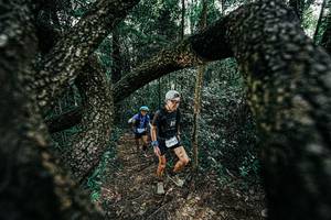 BIB: 
                            <button type="button" onclick="openModal(25392088)" class="btn btn-primary btn-sm float-right btn-popup" data-toggle="modal" data-target=".modal-high-quality">
                        <i class="fas fa-shopping-cart"></i> Add to Cart
                    </button>
                                            <button type="button" onclick="isThisMe(25392088, true)" class="btn btn-success btn-sm float-right btn-popup btn-isme hidden" data-toggle="tooltip" data-placement="bottom" title="นี่คือรูปของคุณใช่ไหม คลิกที่นี่เพื่อเอาเข้าอัลบั้ม">
                        <i class="fas fa-plus"></i> Add to album
                    </button>
                    <button type="button" onclick="isThisMe(25392088, false)" class="btn btn-warning btn-sm float-right btn-popup btn-isnotme hidden">
                        <i class="fas fa-ban"></i> Remove from album
                    </button>